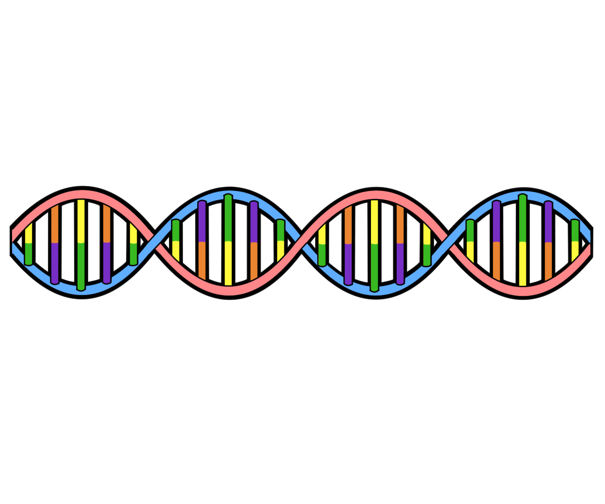 痛風と遺伝子の関係 – 痛風の発症に関連する遺伝子の特定とその影響