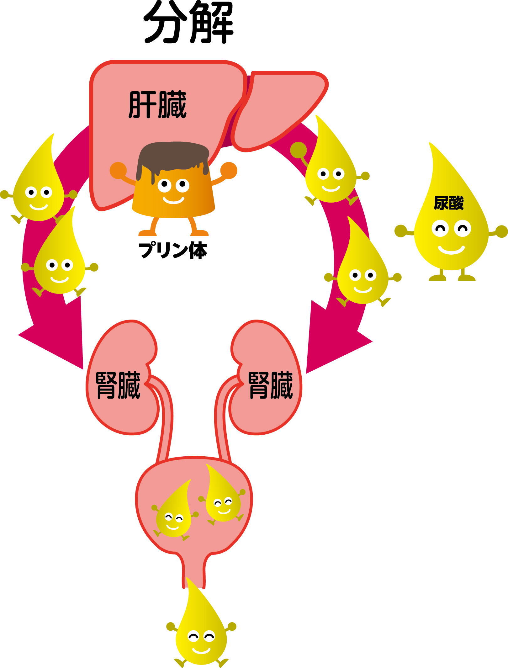 プリン体を避けるだけで痛風は予防できるのか